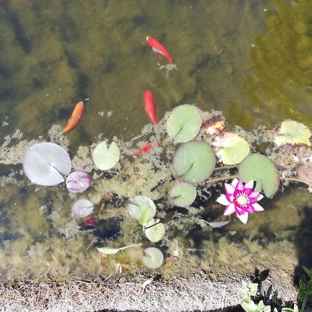 Un Avant Gout Du Nirvana Canet  Extérieur photo
