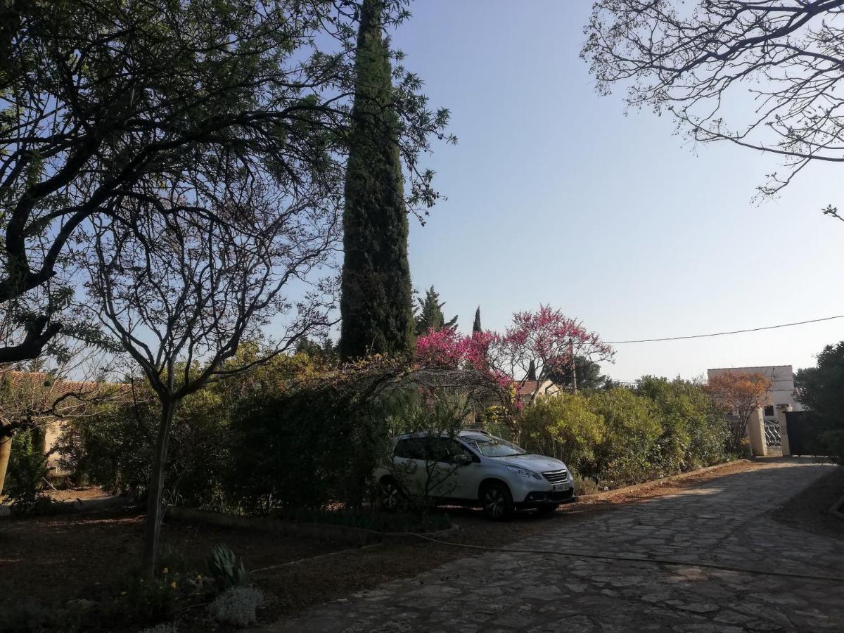 Un Avant Gout Du Nirvana Canet  Extérieur photo